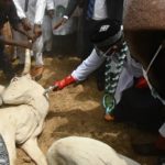 Bauchi govt approves