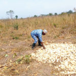 CEDAR, Kogi APPEALS train farmers