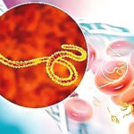 ebola infection