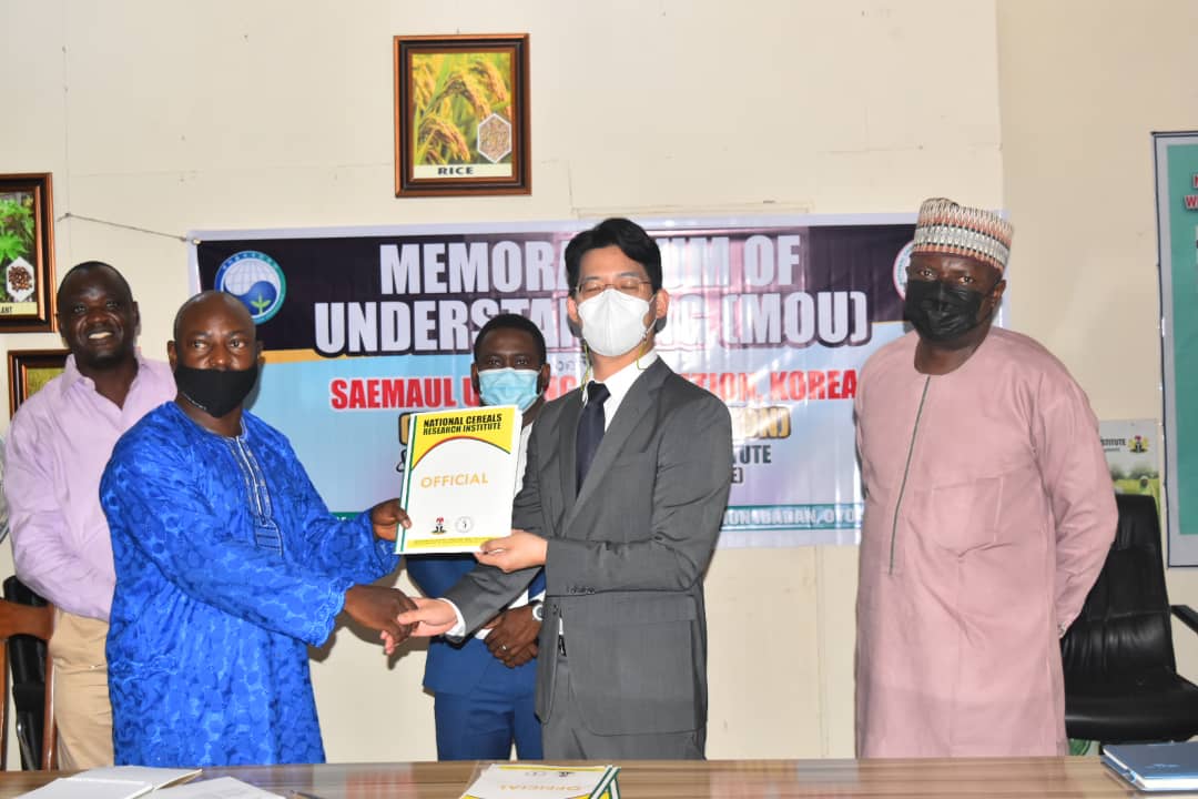 NCRI, Saemaul Undong Foundation partnership will boost cereal production in  Nigeria---Minister | Tribune Online