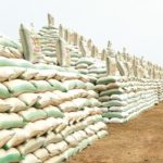 Kebbi’s rice pyramids