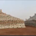 rice pyramid in Kebbi