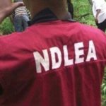 Akwa Ibom ,NDLEA arrests 48, drug users in Nigeria, NDLEA intercepts 12, NDLEA seizes Cannabis Sativa, NDLEA furthers investigations, NDLEA hemp codeine Kano ,diverting shipment to Lome, Gunmen kill NDLEA officer, Gunmen kill NDLEA officer, NDLEA promises to give priority, NDLEA fails to defend spending, NDLEA burns over 24 tons of illicit drugs in Osun, Why 12 Dockworkers are still in detention —NDLEA, NDLEA arrests fake soldier, NDLEA busts interstate cartels, NDLEA arrests 60 suspects, NDLEA arrest drug traffickers, NDLEA intercepts heroin, NDLEA uncovers large farm of marijuana in Kano, NDLEA Meth consignments Lagos