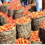 food tomato