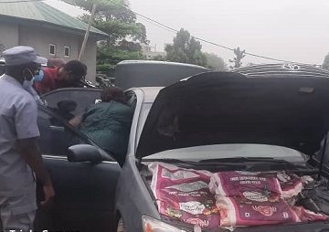 Customs generates N1bn in 2021