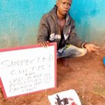 16-year-old phone thief