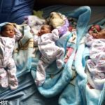 Father of triplets solicit