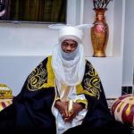 Niger gov  appoints revenue