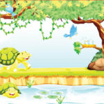 The tortoise