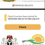 Fake website N-Power