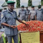 intercept container-load of guns, Customs seize live ammunition