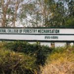 Five of 39 regain freedom