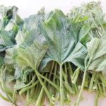 fluted pumpkin leaf harmful to fertility