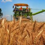 Industrialisation FG to crash price, food crisis in December,Forex restriction: WFAN hail