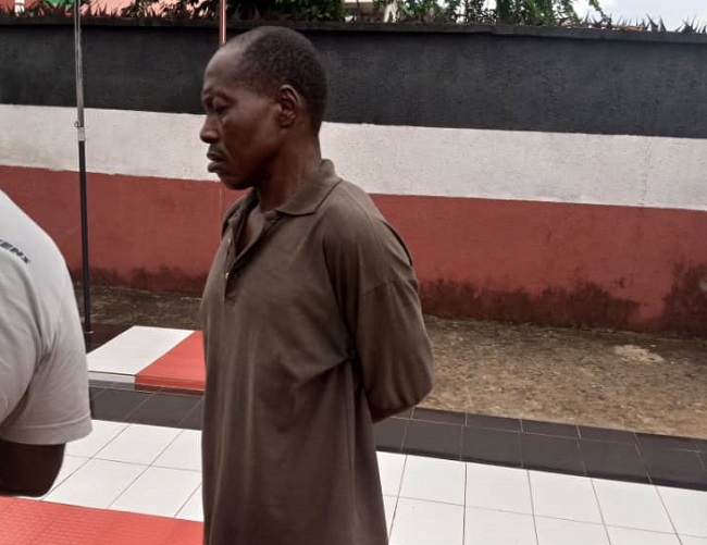 plumber for defiling three underaged daughters