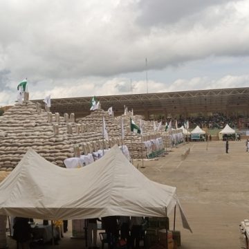 South-West first rice pyramid