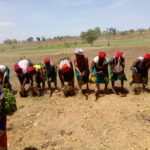 Food security: NGO move