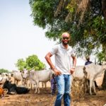 no ban on sale cows