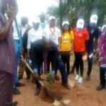 Owerri Rotary club to plant 10,000 trees