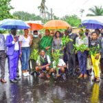 Experts seek concerted efforts