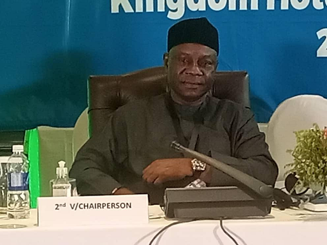 Nigerian elected vice-chairman