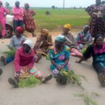 140 students kidnapped