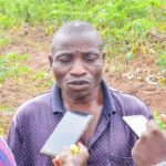APPEALS assisted cassava project
