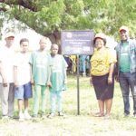 schools tree planting programme