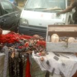 police parade 49 suspects