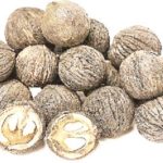‘African walnuts improve semen