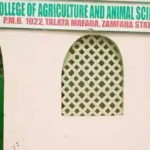 Abductors of Zamfara students