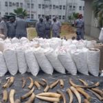 Customs intercept N22.3bn