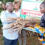 FG distributes cassava planting