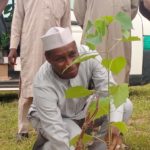 Bauchi NUJ plants tree seedlings