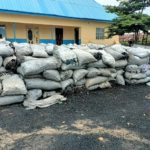 Niger govt task force