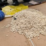 SAHCO backs NDLEA on war against drug trafficking