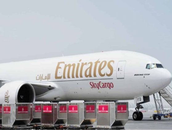 reinstatement of Emirates airlines