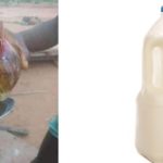 snail milk cannot cure stroke