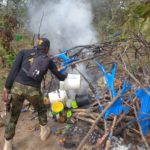 Seven bandits killed in Kaduna