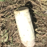 IED
