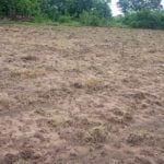 Farmers soil