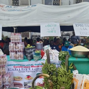  Edo holds food exhibition