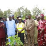 Ekiti begins planting of trees