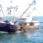 Nigeria’s fishing industry vulnerable