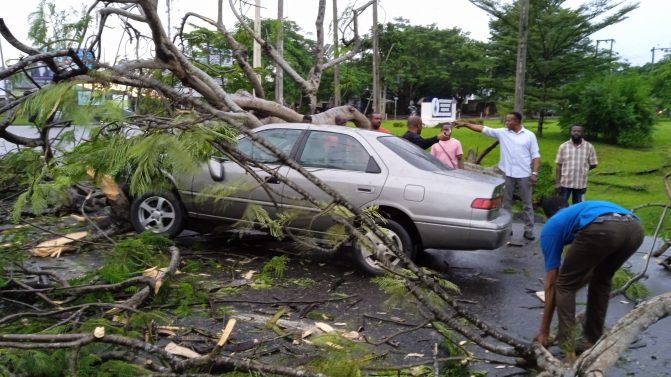 Man escapes death as tree branch falls on his car