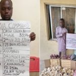 NDLEA arrests notorious drug dealer behind London-bound multiple consignments