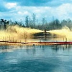 Oil Spill