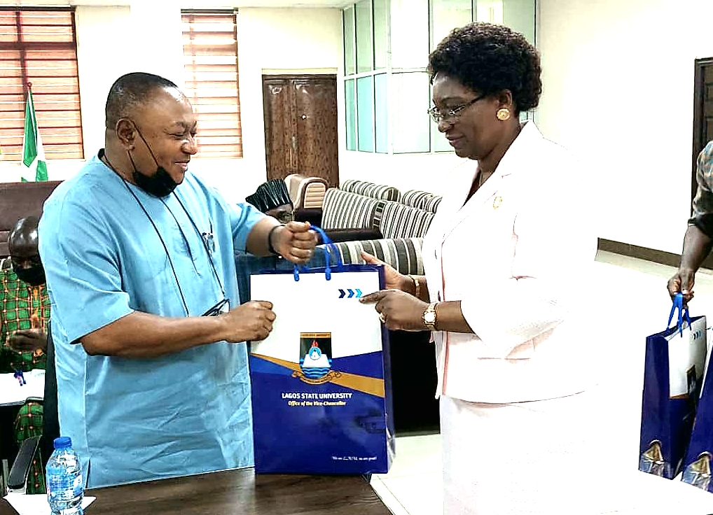 LASU, DELSU partner on software development training