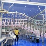 Cross River chicken factory