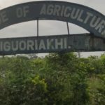 Benin Industrial Court nullifies sack of Edo College of Agriculture workers, of